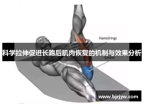 科学拉伸促进长跑后肌肉恢复的机制与效果分析