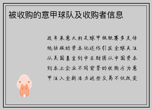 被收购的意甲球队及收购者信息